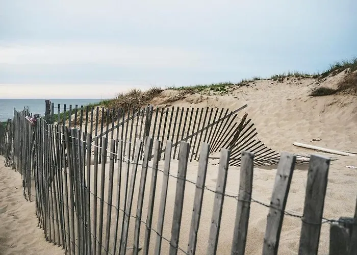 House De Zeemeeuw- 2 Km From The Noordwijkerhout