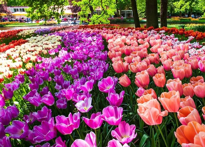 House De Zeemeeuw- 2 Km From The Noordwijkerhout