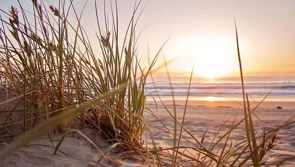 Casa de Férias House De Zeemeeuw- 2 Km From The