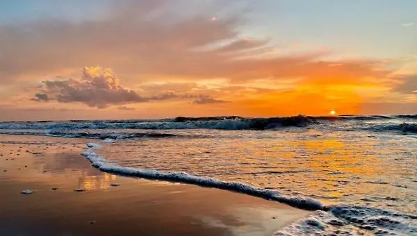 House De Zeemeeuw- 2 Km From The Noordwijkerhout