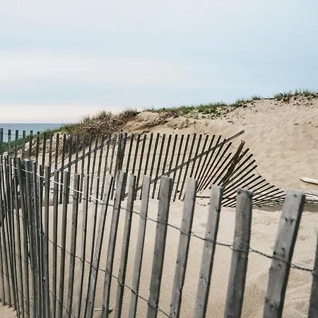 House De Zeemeeuw- 2 Km From The Noordwijkerhout