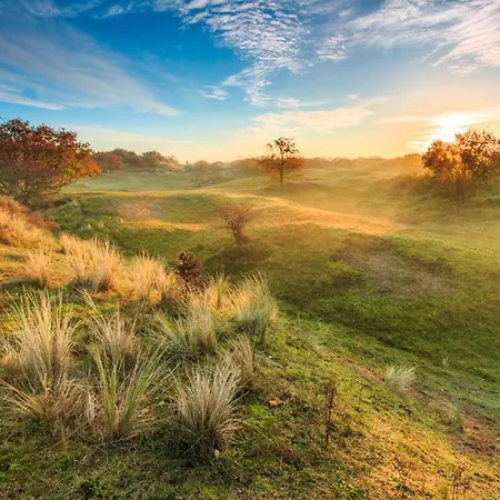 House De Zeemeeuw- 2 Km From The *